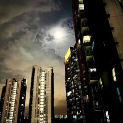 Normanton Park (D5), Apartment #562314101